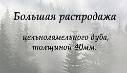 Краснодар. Распродажа дуба.